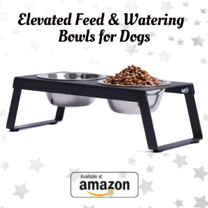 Elevated Feed & Watering  Bowls for Dogs