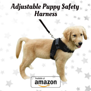 Adjustable Pet Puppy Dog Safety Harness